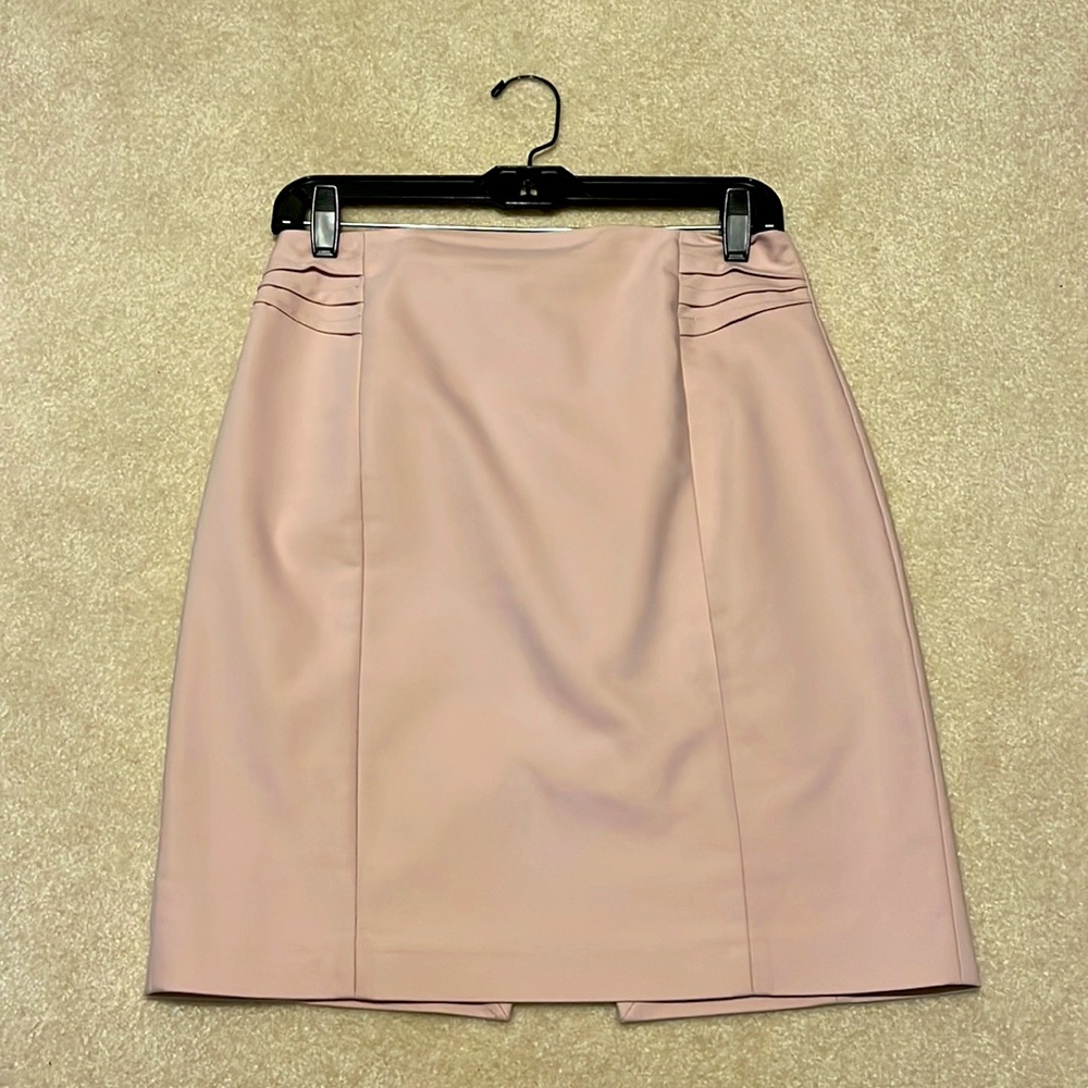 Light Pink Express Pencil Skirt